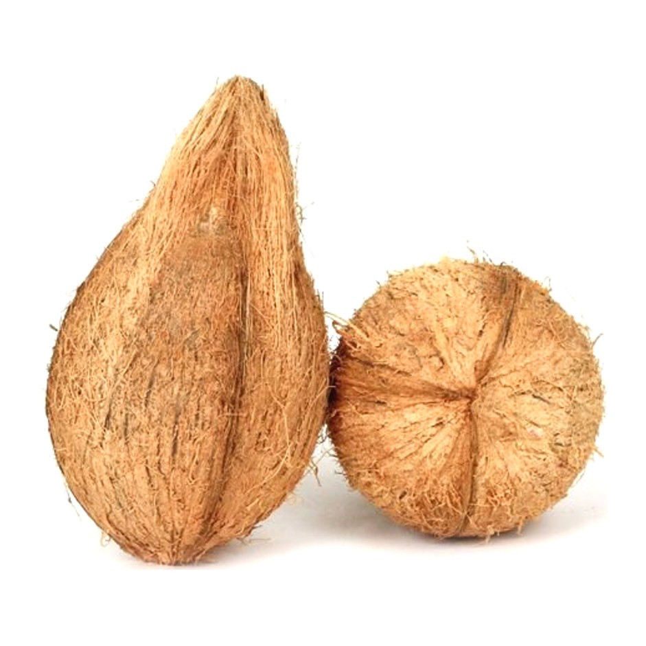 Coconut Brown 1pc - Organically Grown | Buy Online in Delhi NCR | Rootz Organics