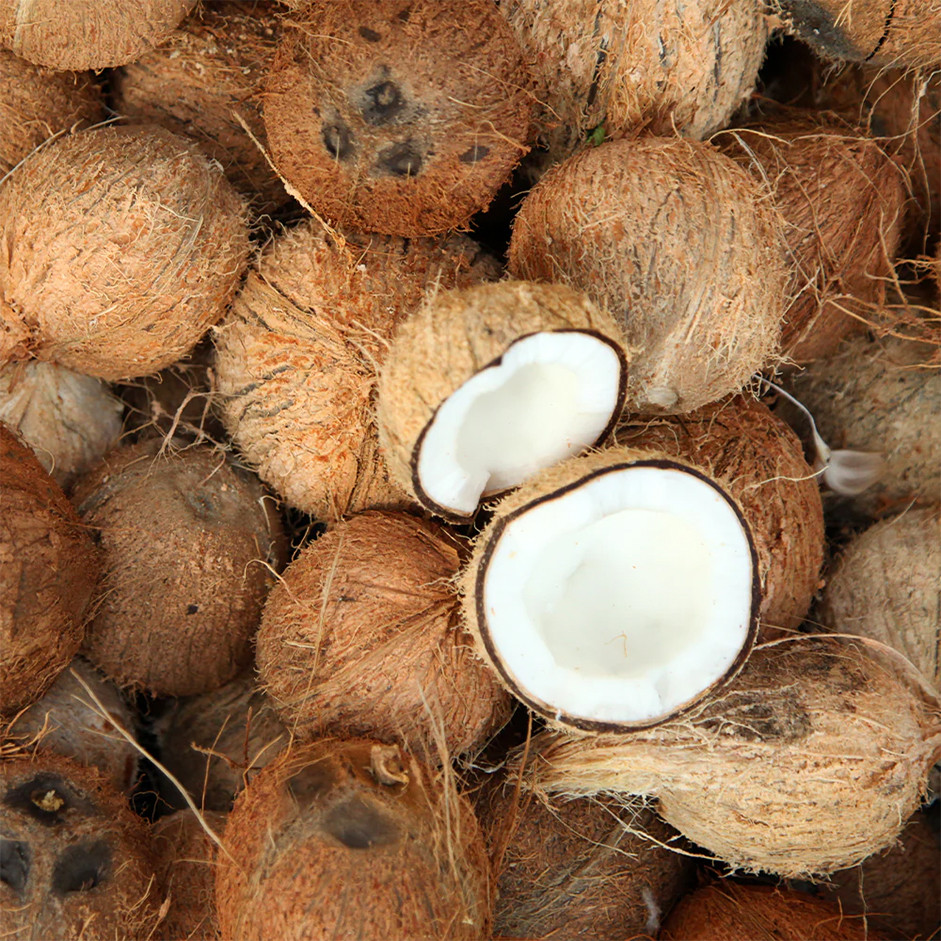 Coconut Brown 1pc - Organically Grown | Buy Online in Delhi NCR | Rootz Organics