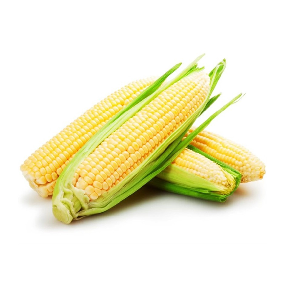 Corn Bhutta 250g - Organically Grown | Buy Online in Delhi NCR | Rootz Organics