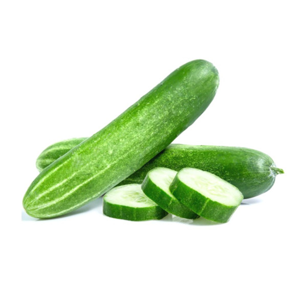 Image of Cucumber Hybrid 500g - Organically Grown | Buy Online in Delhi NCR | Rootz Organics