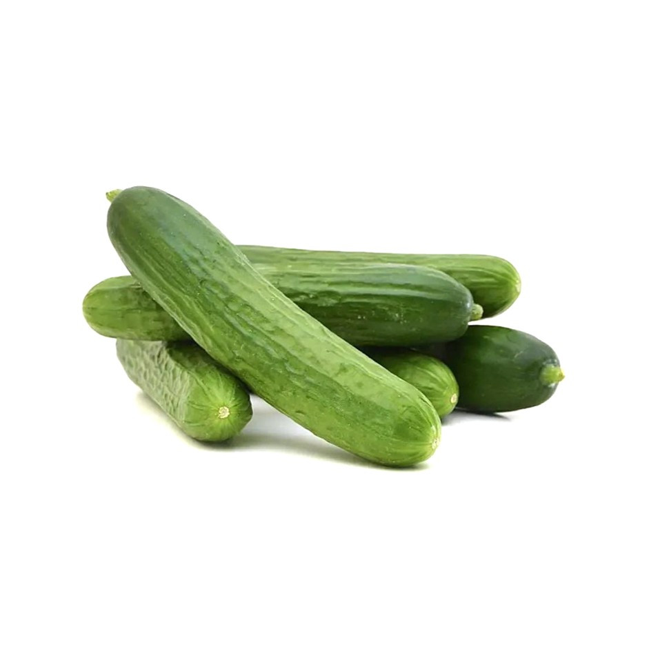 Cucumber Seedless 500g-Kheera - Organically Grown | Buy Online in Delhi NCR | Rootz Organics