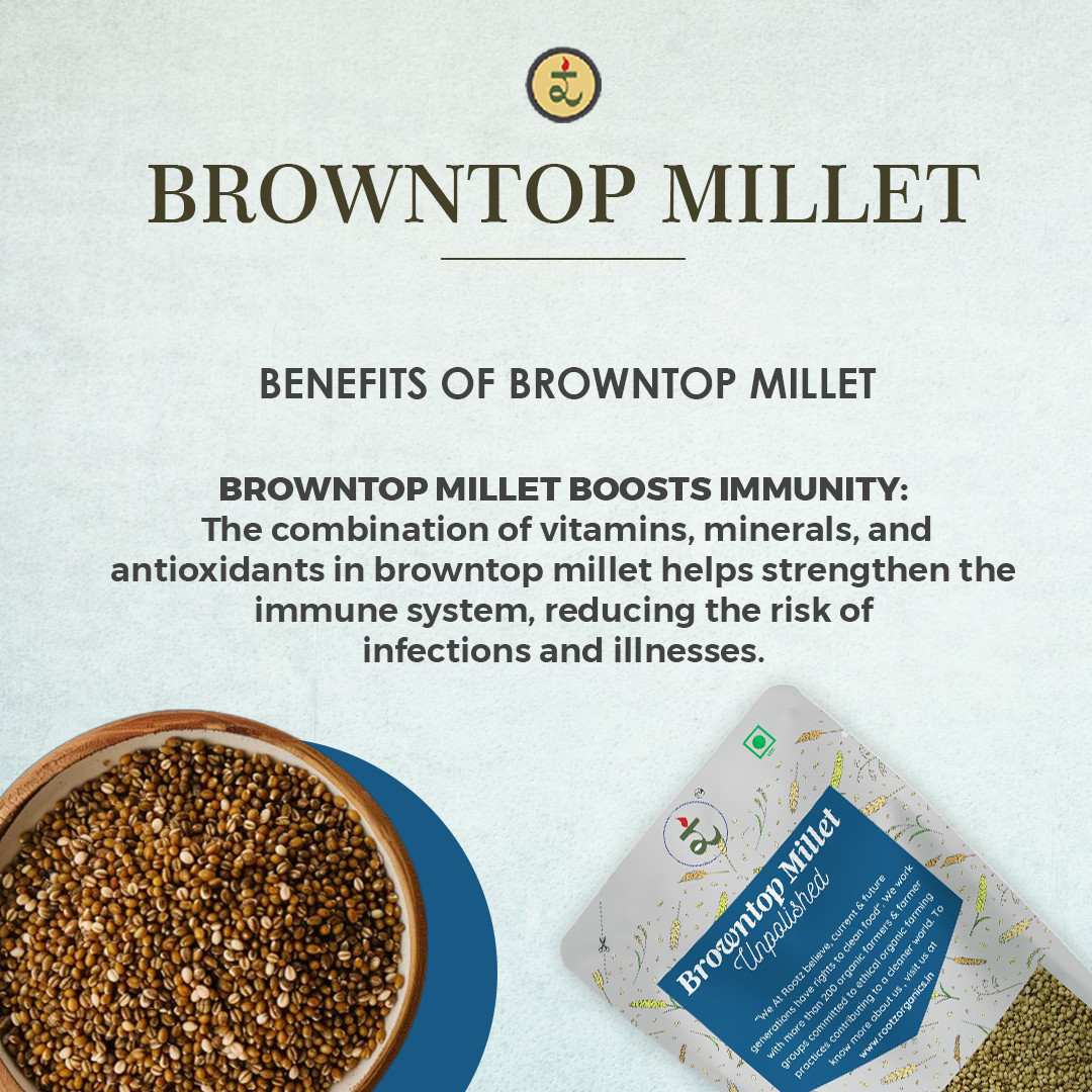 Organic Unpolished Browntop Millet 500g