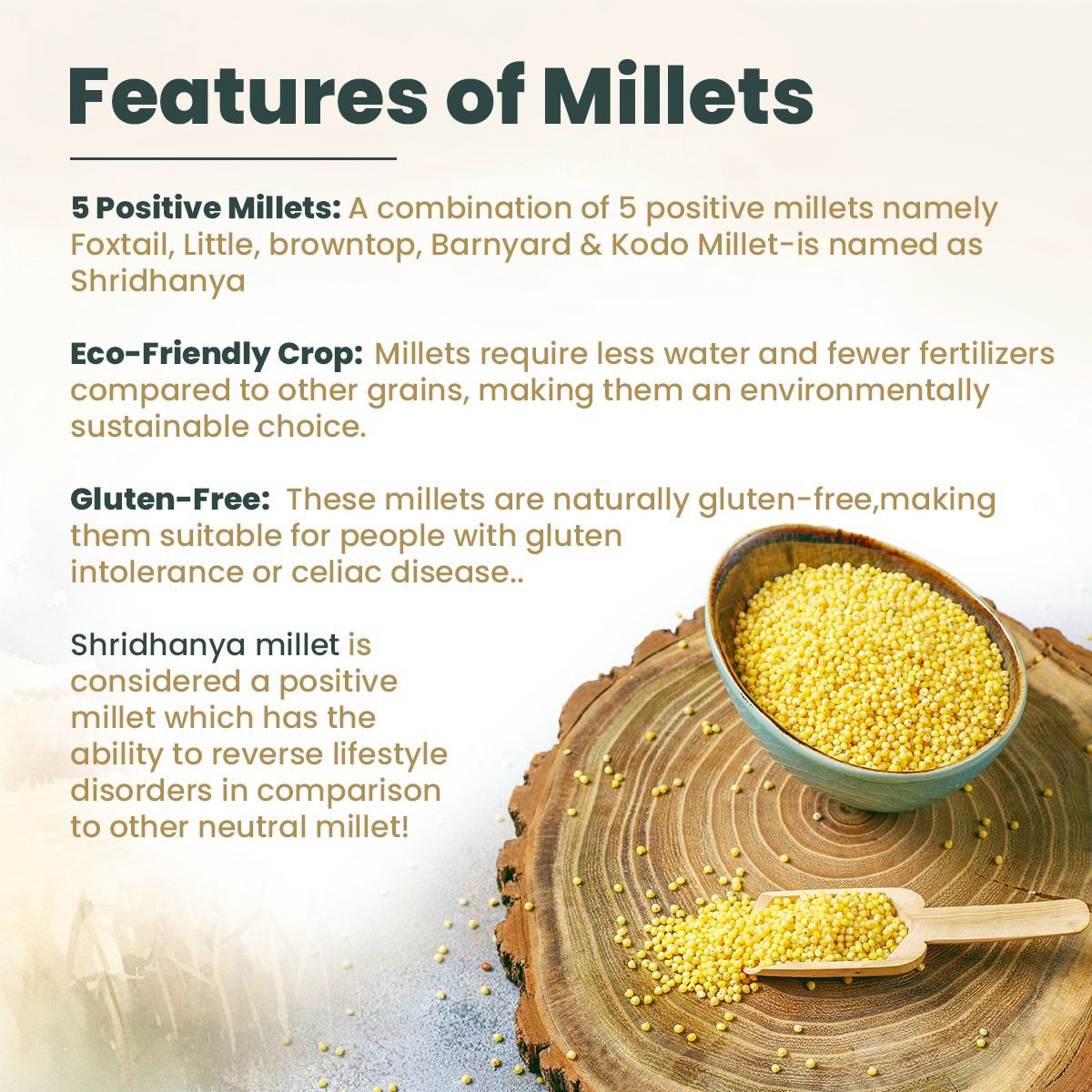 Organic Unpolished Foxtail Millet  500g
