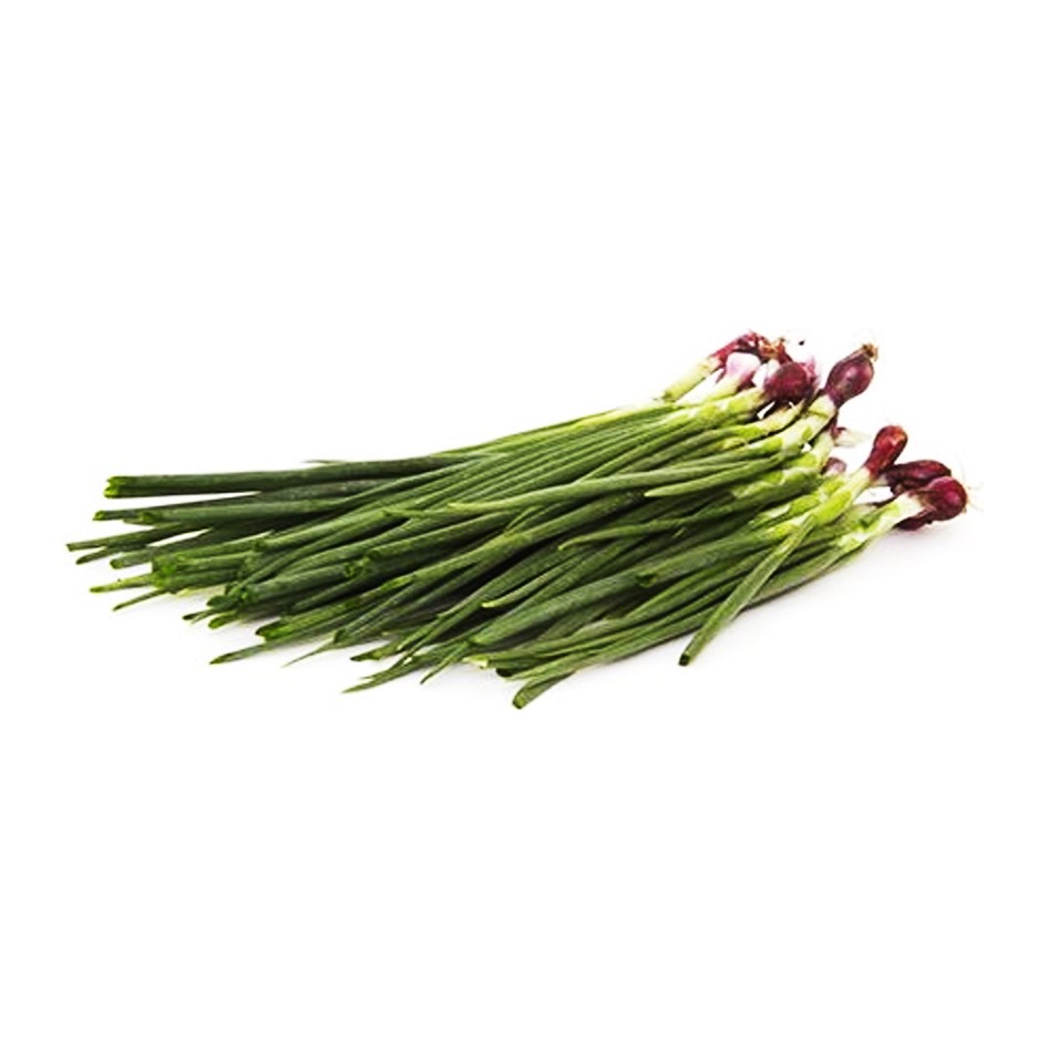 Spring Onion 500g - Organically Grown | Buy Online in Delhi NCR | Rootz Organics