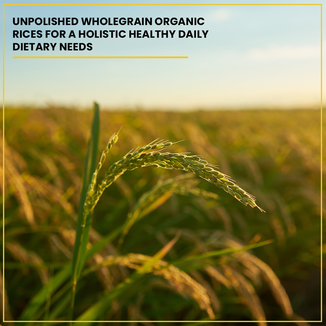 Organic Handpounded Sonamasoori Brown Rice 1.8KG