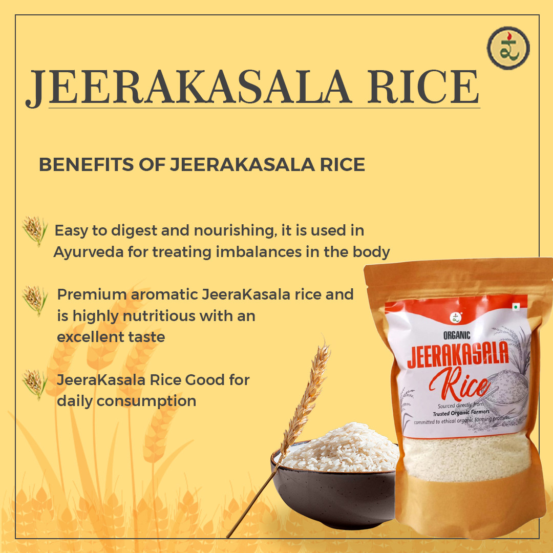 Organic Jeerakasala Rice 1.8KG