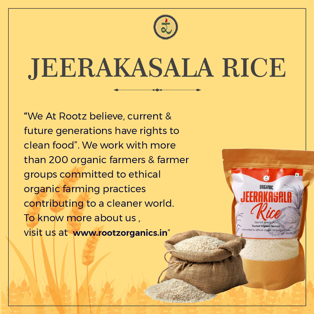 Organic Jeerakasala Rice 1.8KG