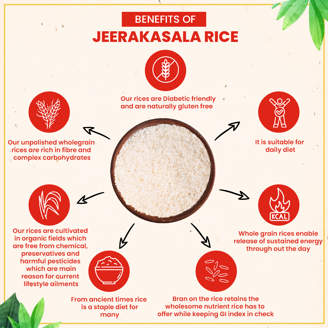 Organic Jeerakasala Rice 1.8KG