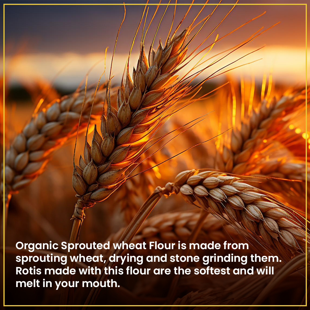 Organic Sprouted Wheat Flour 1.8kg– High Fibre, Stone-Ground Superfood for Constipation & Bloating Relief