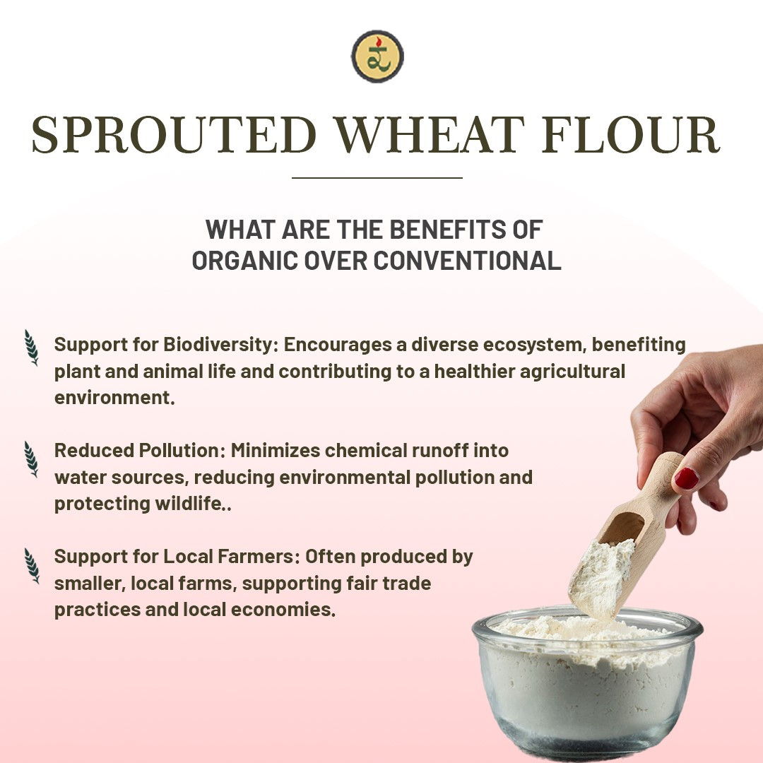Organic Sprouted Wheat Flour 4.5KG– High Fibre, Stone-Ground Superfood for Constipation & Bloating Relief