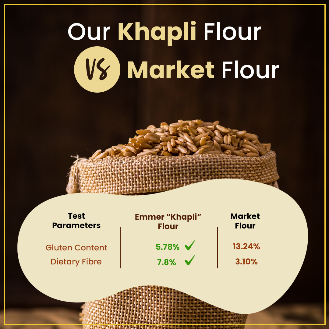 Organic Khapli Atta/ Emmer Wheat flour 18KG - Ancient Grain, Low GI, High Fibre Solution for Diabetes, Bloating & Gluten Sensitivity