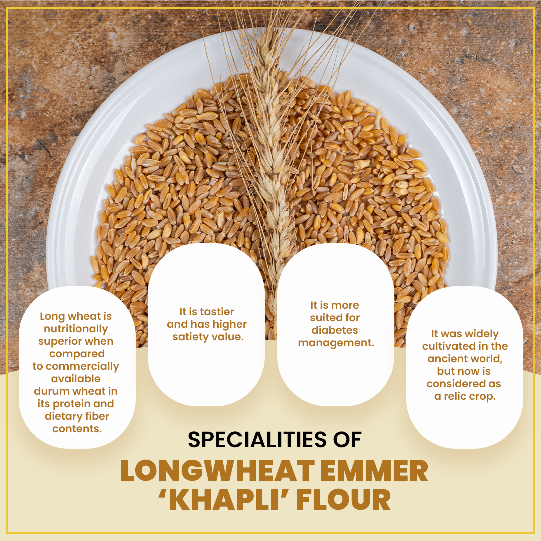 Organic Khapli Atta/ Emmer Wheat flour 18KG - Ancient Grain, Low GI, High Fibre Solution for Diabetes, Bloating & Gluten Sensitivity