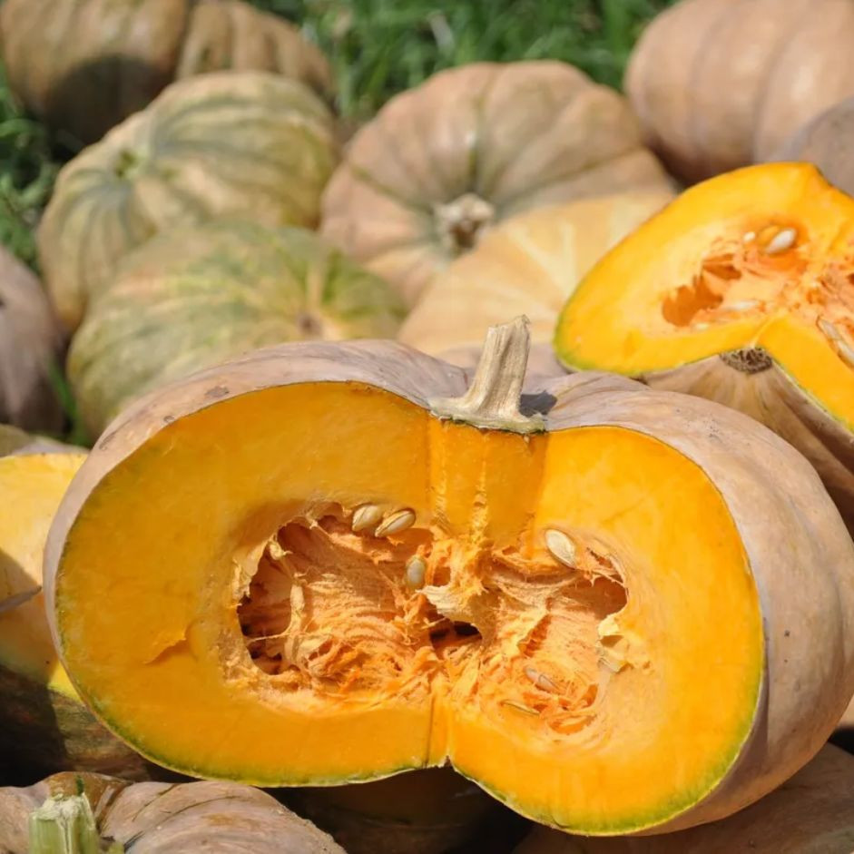 Pumpkin Yellow 1kg - Organically Grown | Buy Online in Delhi NCR | Rootz Organics