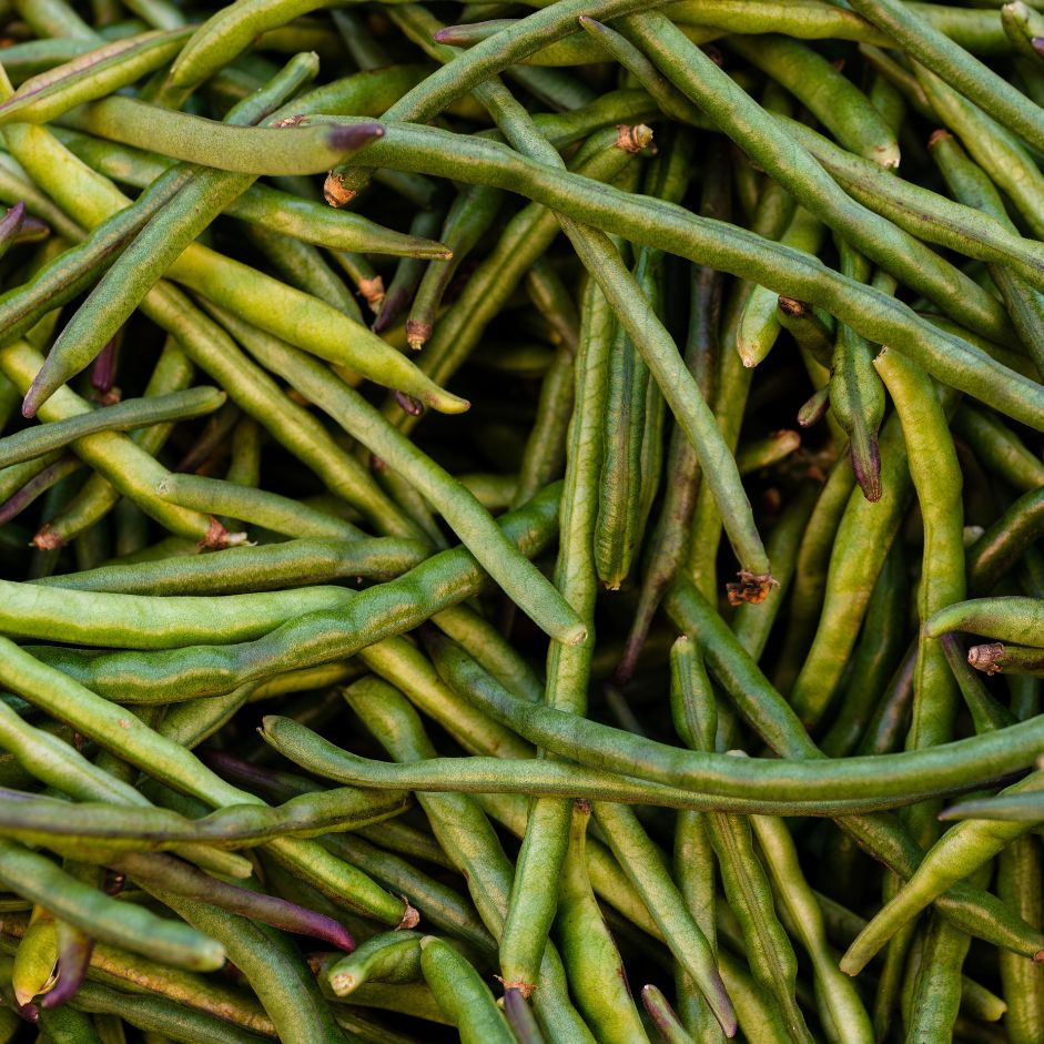 Organic Lobia Beans 250g - Organically Grown | Buy Online in Delhi NCR | Rootz Organics