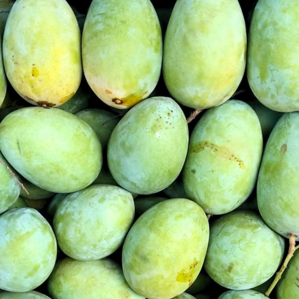 Image of Mango Malda  1kg