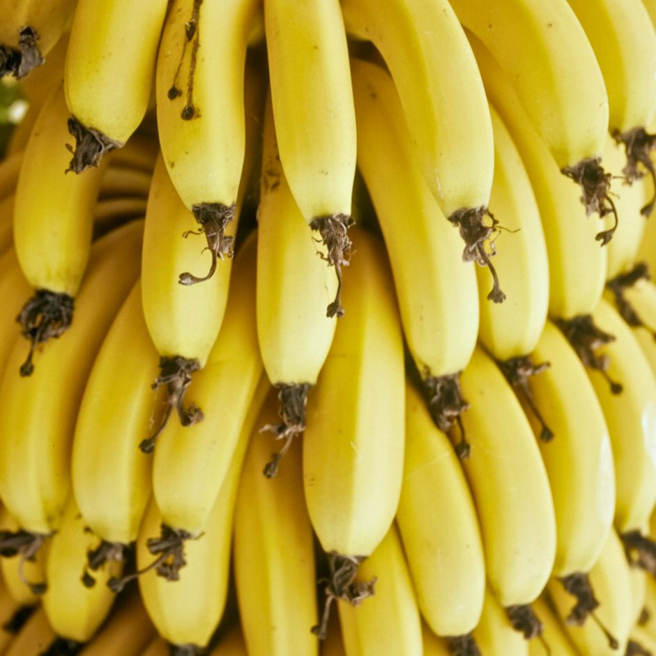 Banana Robusta 1kg - Organically Grown | Buy Online in Delhi NCR | Rootz Organics