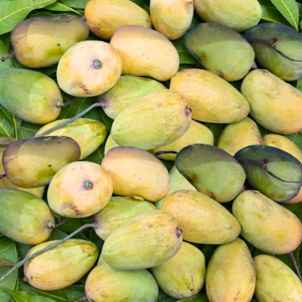 Image of Dinga Mango 1kg
