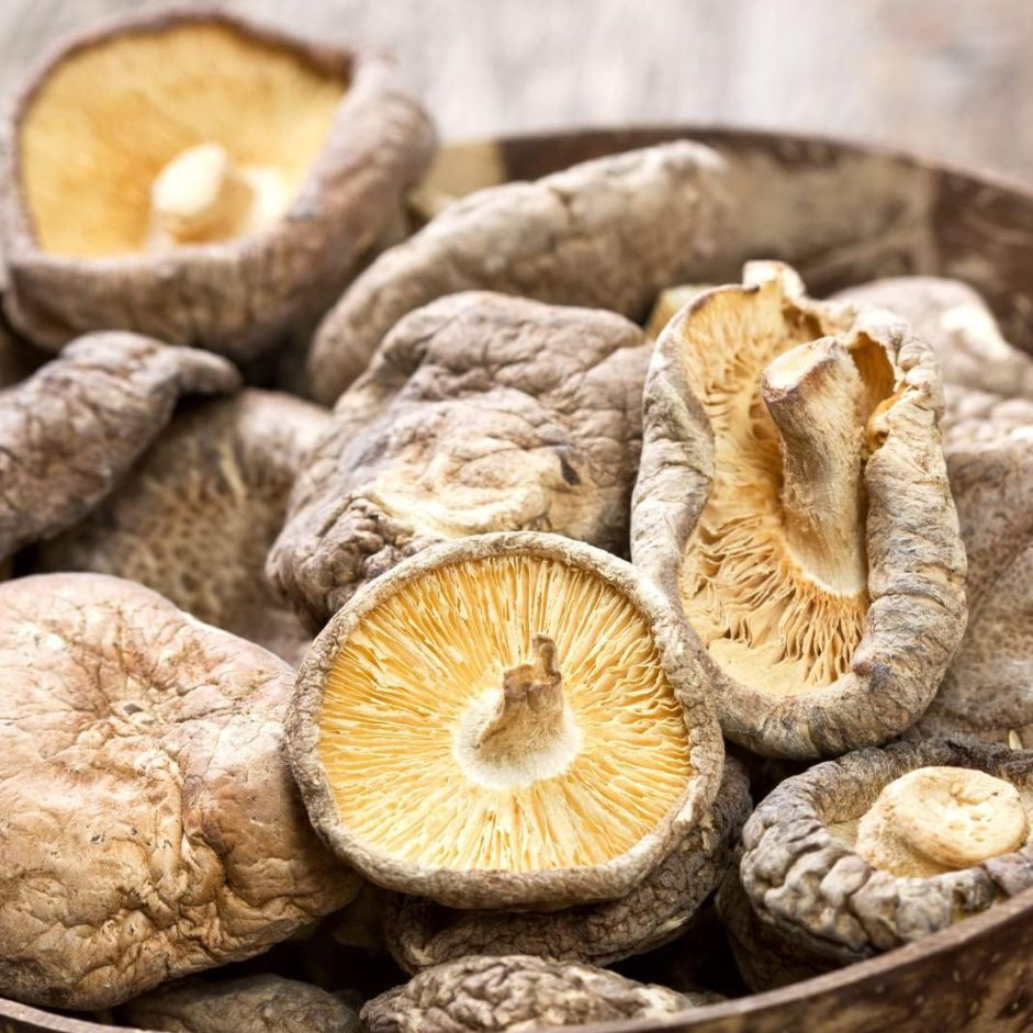 Dry Shitake Mushroom 50g - Organically Grown | Buy Online in Delhi NCR | Rootz Organics