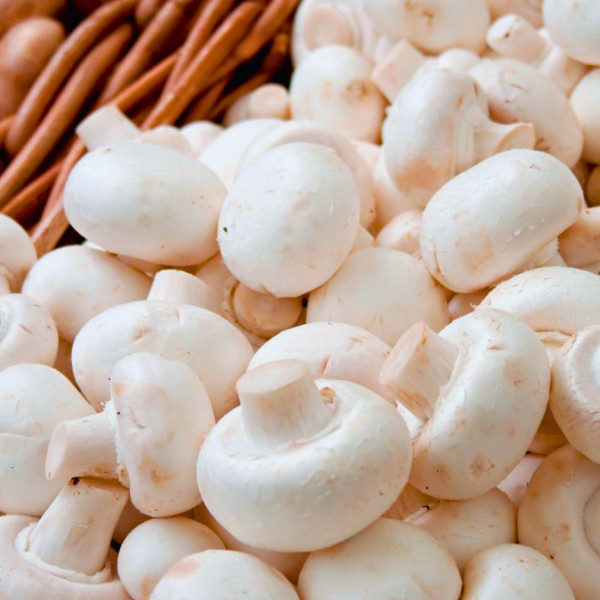 Image of Mushroom Button 200g - Organically Grown | Buy Online in Delhi NCR | Rootz Organics
