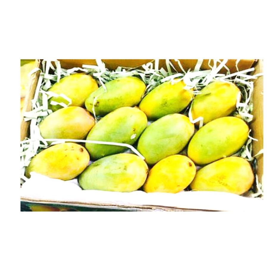 Kesar Mango 1 Dozen (Approx. 2.5 to 3kg)