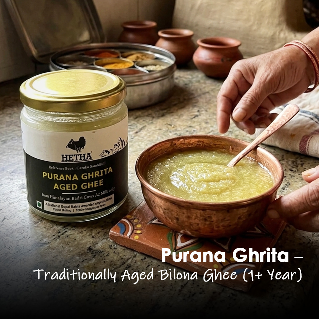 Old or Aged Ghee / Purana Ghrita  of Himalayan Badri Cow  250ml