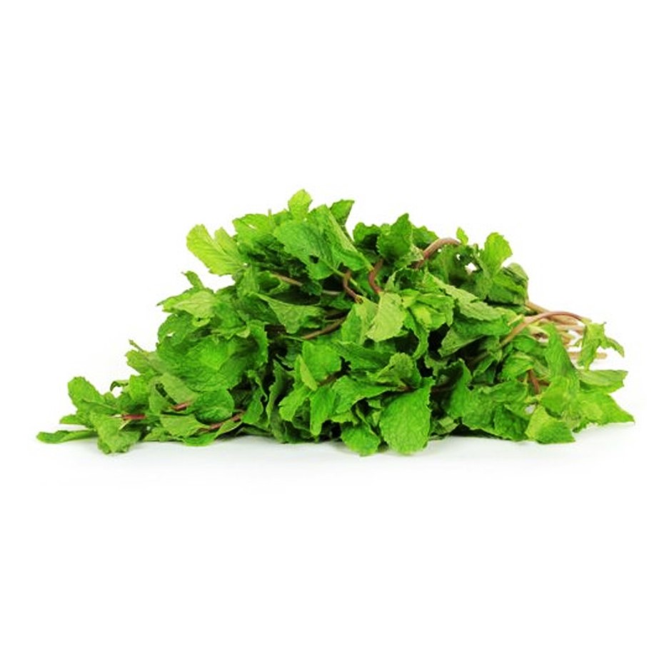 Mint Pudina 100g - Organically Grown | Buy Online in Delhi NCR | Rootz Organics