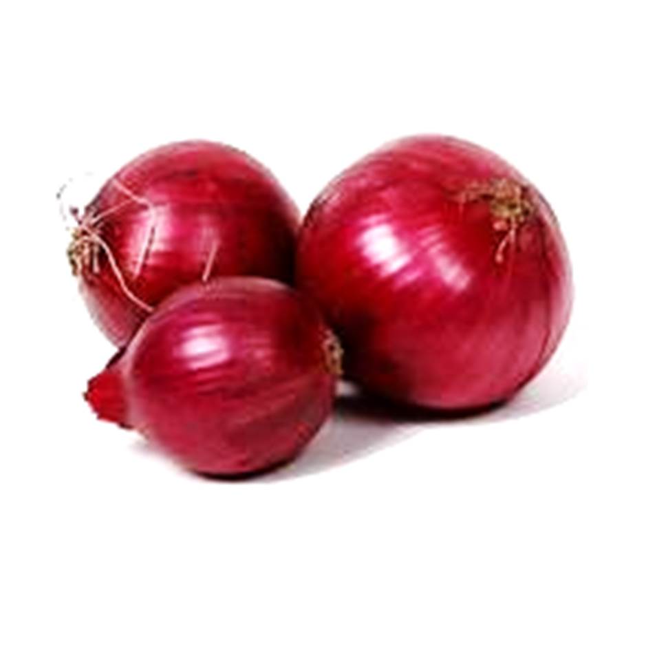 Onion 1kg - Organically Grown | Buy Online in Delhi NCR | Rootz Organics