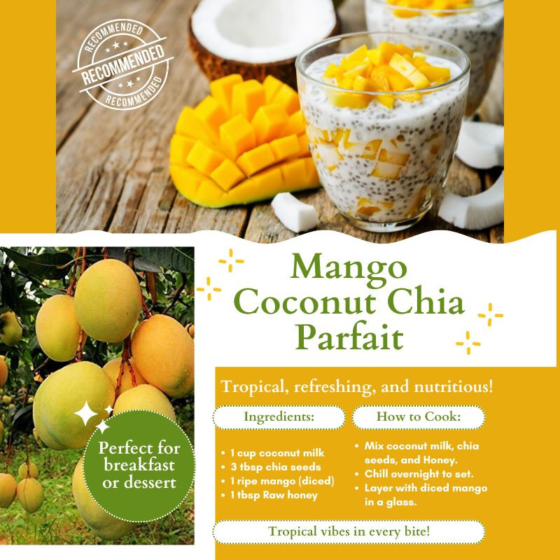 Alphonso Mango (Ratnagiri) Dozen(12pcs Approx 2.5 to 3kg)