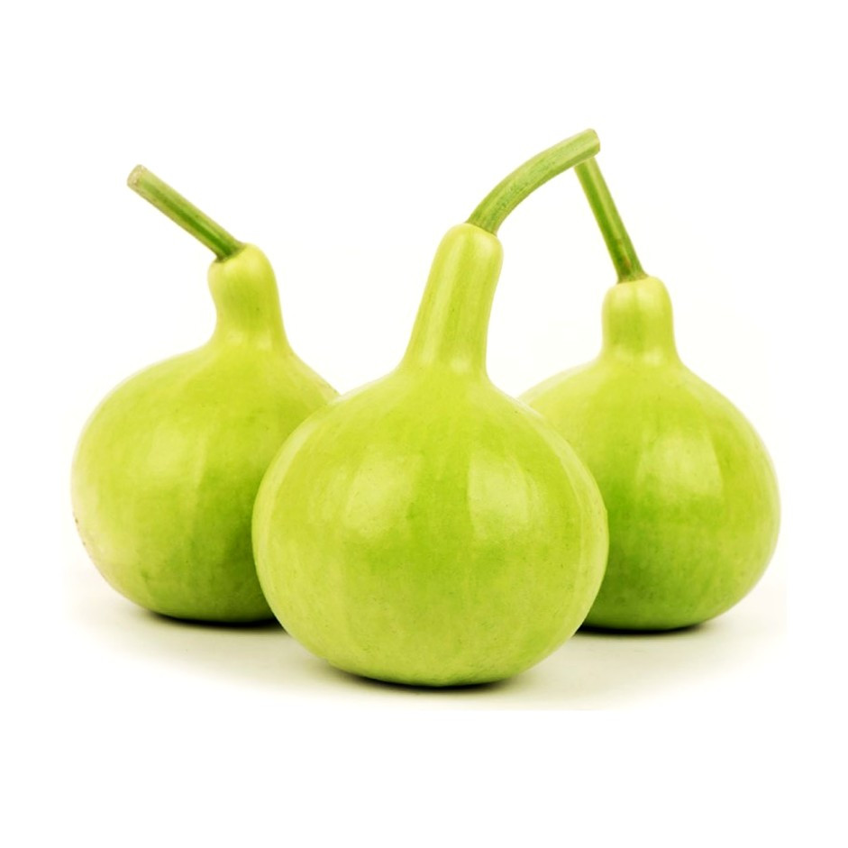 Lauki Round 1kg - Organically Grown | Buy Online in Delhi NCR | Rootz Organics