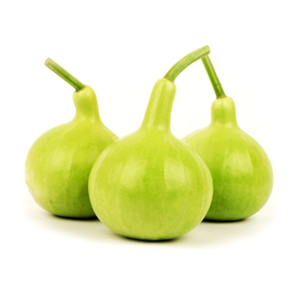 Image of Lauki Round 1kg - Organically Grown | Buy Online in Delhi NCR | Rootz Organics