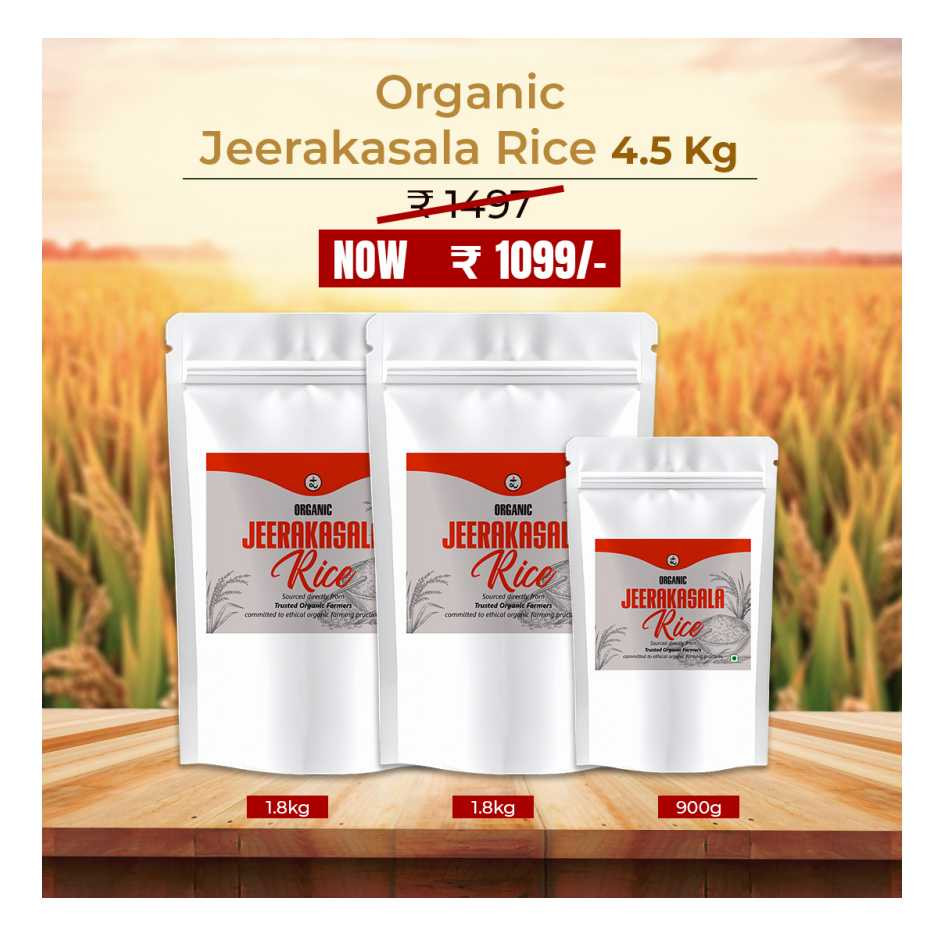Organic Jeerakasala Rice 4.5 kg