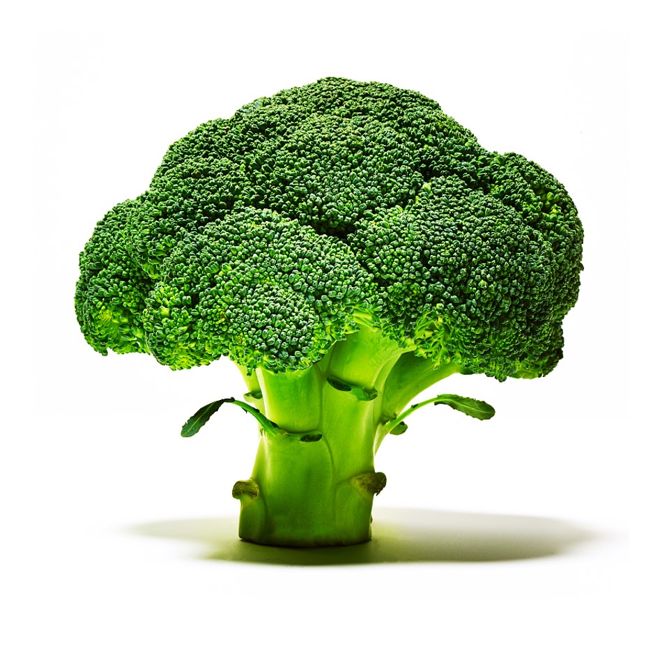 Broccoli 500g - Organically Grown | Buy Online in Delhi NCR | Rootz Organics
