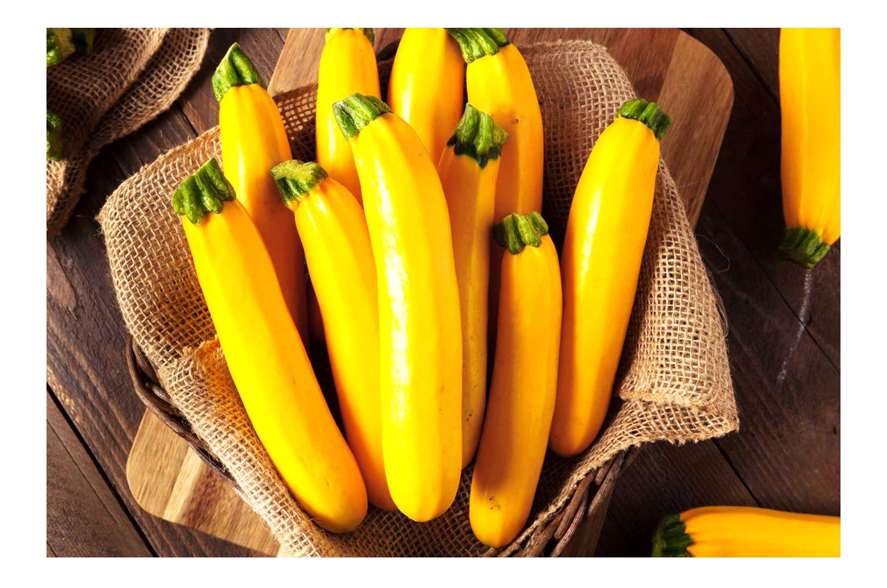 Zucchini Yellow 250g - Organically Grown | Buy Online in Delhi NCR | Rootz Organics