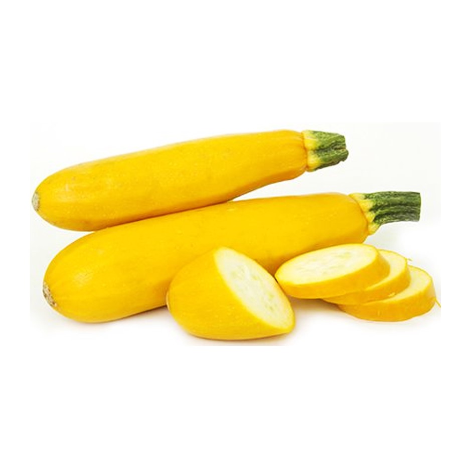 Zucchini Yellow 250g - Organically Grown | Buy Online in Delhi NCR | Rootz Organics
