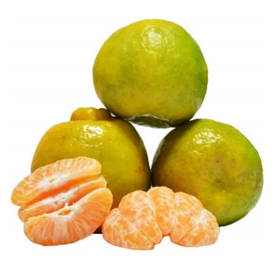 Nagpur Orange 1kg