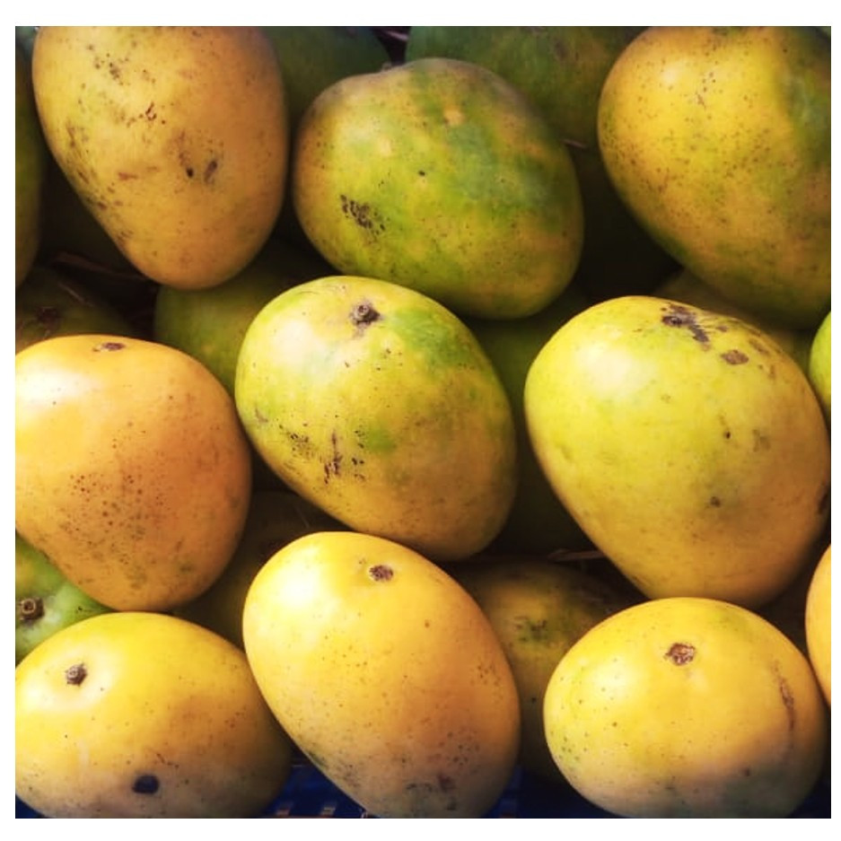 Banganpalli Mango 1kg