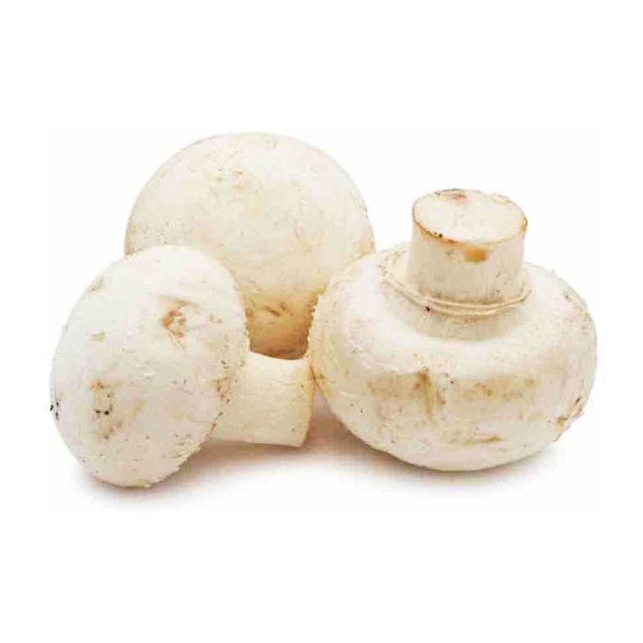 Mushroom Button 200g - Organically Grown | Buy Online in Delhi NCR | Rootz Organics