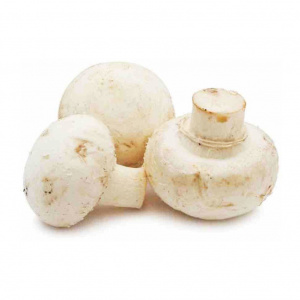 Image of Mushroom Button 200g - Organically Grown | Buy Online in Delhi NCR | Rootz Organics