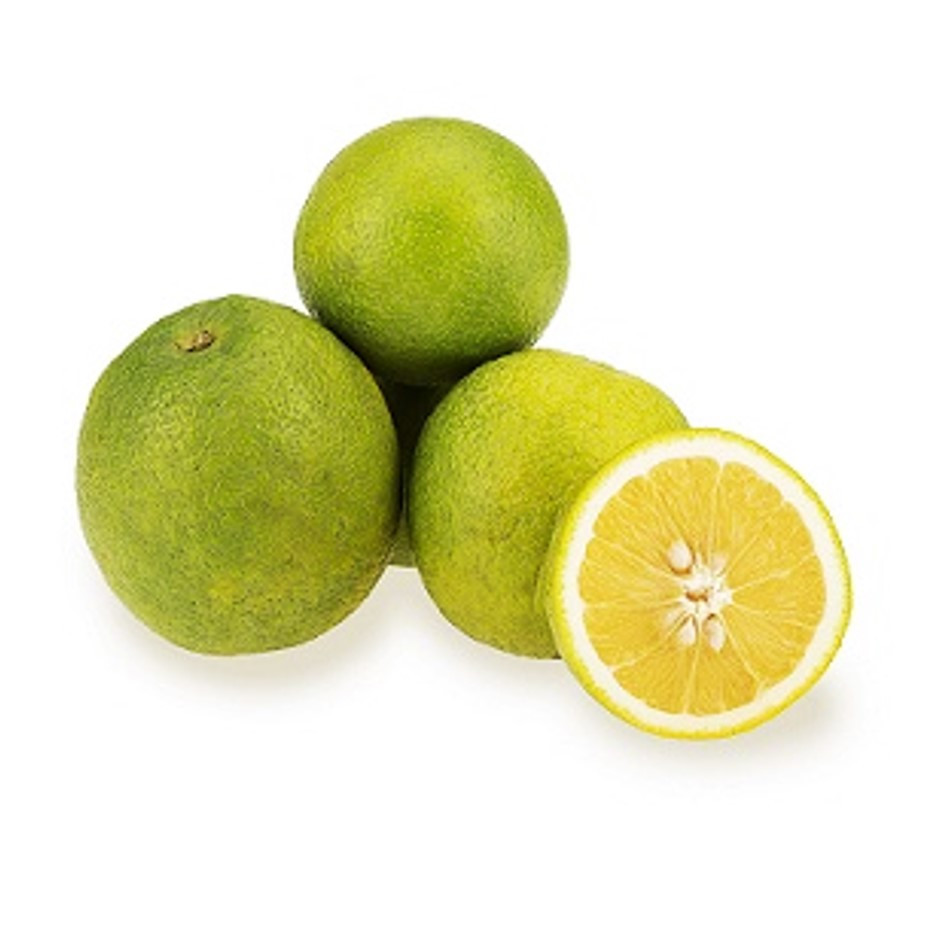 Sweetlime Mosambi 1kg - Organically Grown | Buy Online in Delhi NCR | Rootz Organics