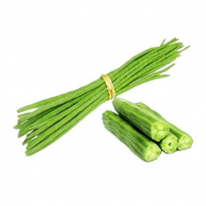 Image of Drumstick 250g - Organically Grown | Buy Online in Delhi NCR | Rootz Organics