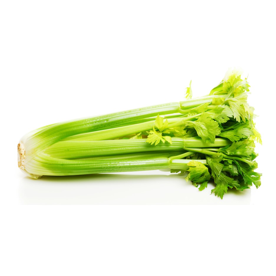 Celery 250g - Organically Grown | Buy Online in Delhi NCR | Rootz Organics