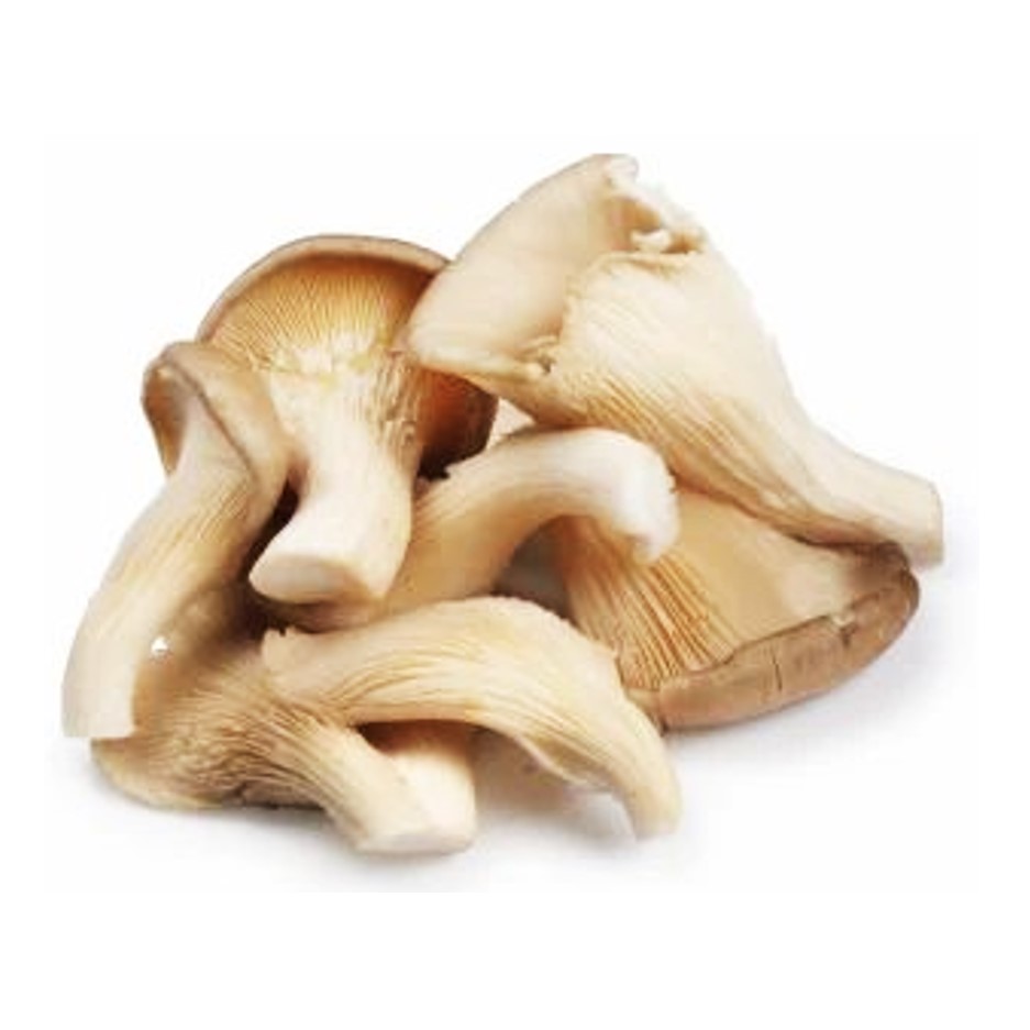 Dry Oyster Mushroom 1 Box - Organically Grown | Buy Online in Delhi NCR | Rootz Organics
