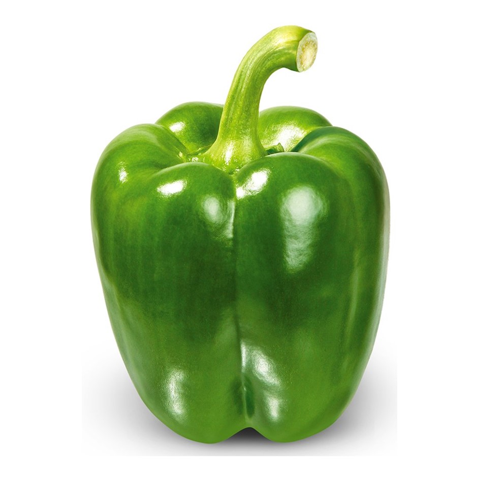 Capsicum Green 250g - Organically Grown | Buy Online in Delhi NCR | Rootz Organics