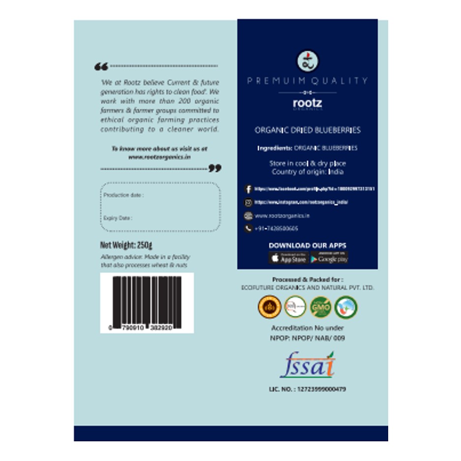 Organic Dried BlueBerries 250g