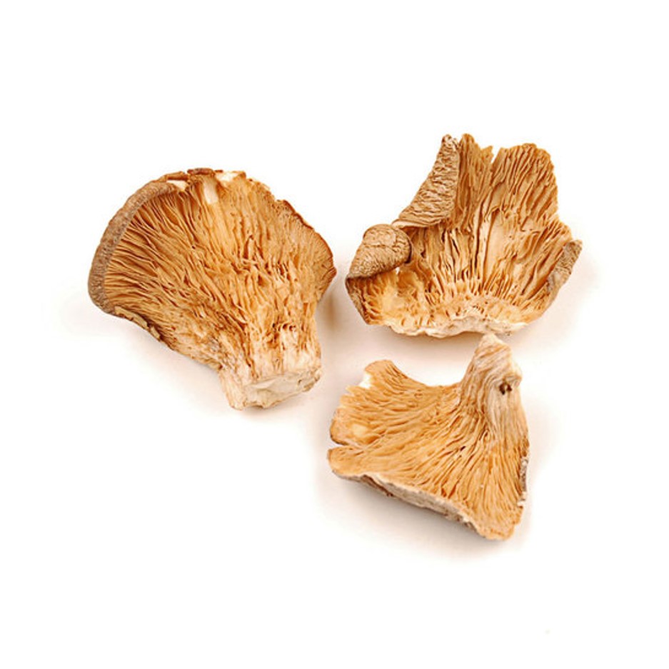 Dry Oyster Mushroom 1 Box - Organically Grown | Buy Online in Delhi NCR | Rootz Organics