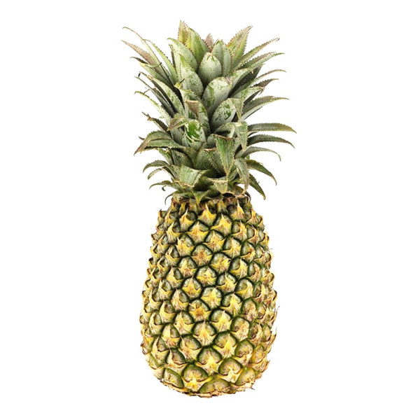Image of Pineapple 1pc - Organically Grown | Buy Online in Delhi NCR | Rootz Organics