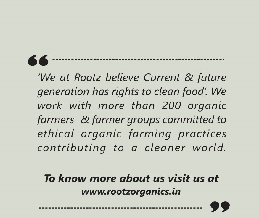 Organic Fennel Seeds 250g