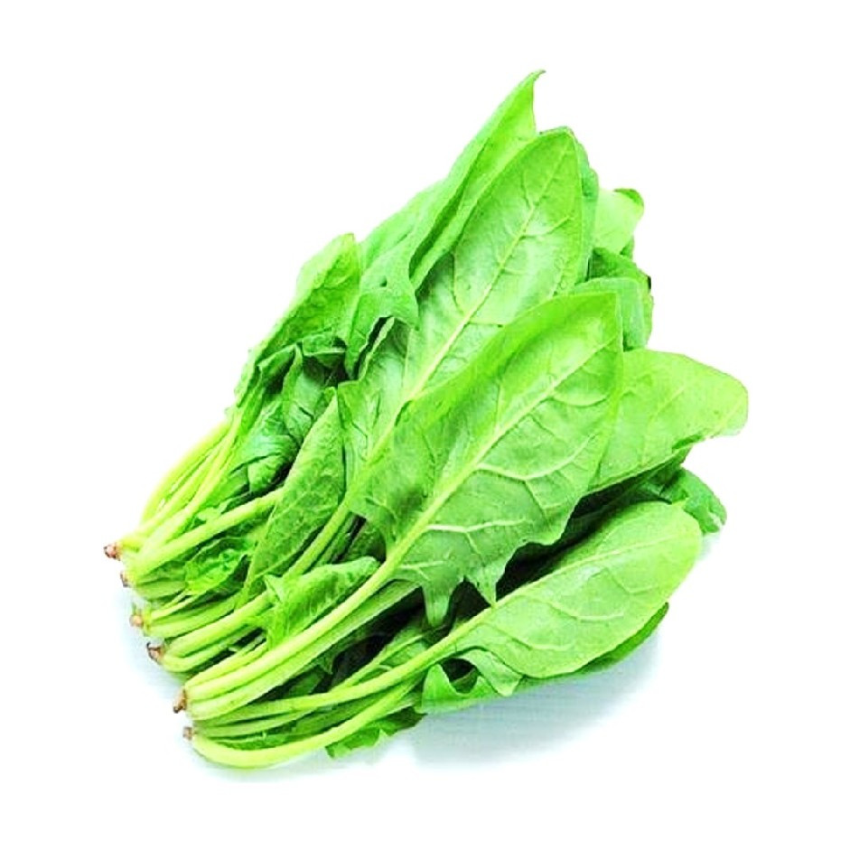 Spinach 500g - Organically Grown | Buy Online in Delhi NCR | Rootz Organics