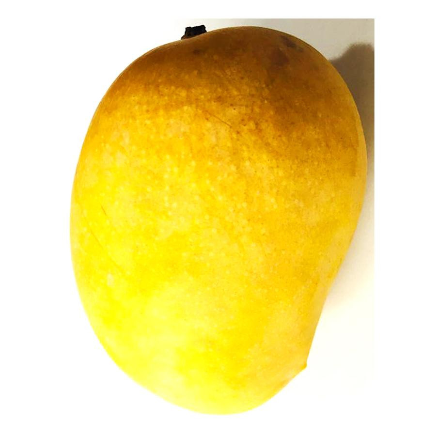 Alphonso Mango (Ratnagiri) Dozen(12pcs Approx 2.5 to 3kg)