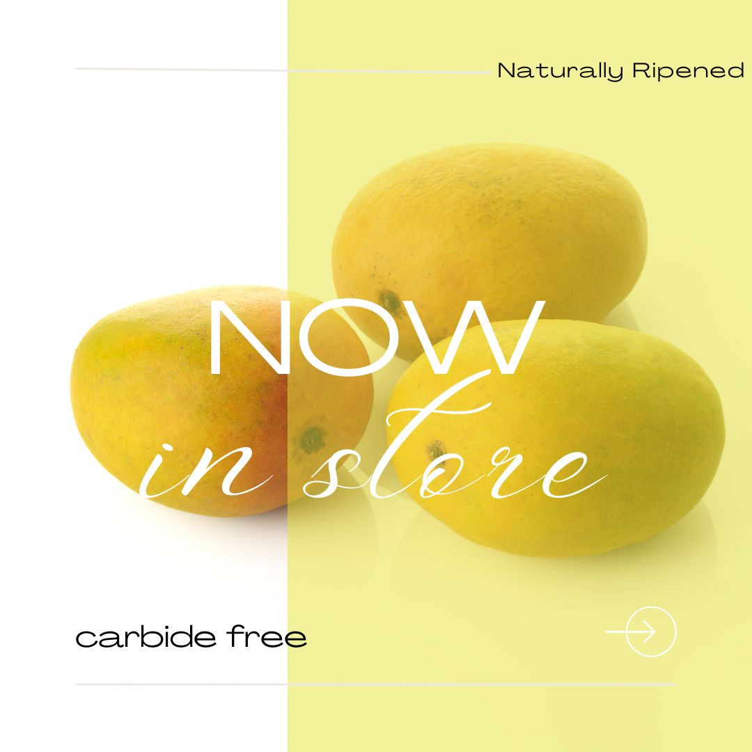 Alphonso Mango (Ratnagiri) Dozen(12pcs Approx 2.5 to 3kg)